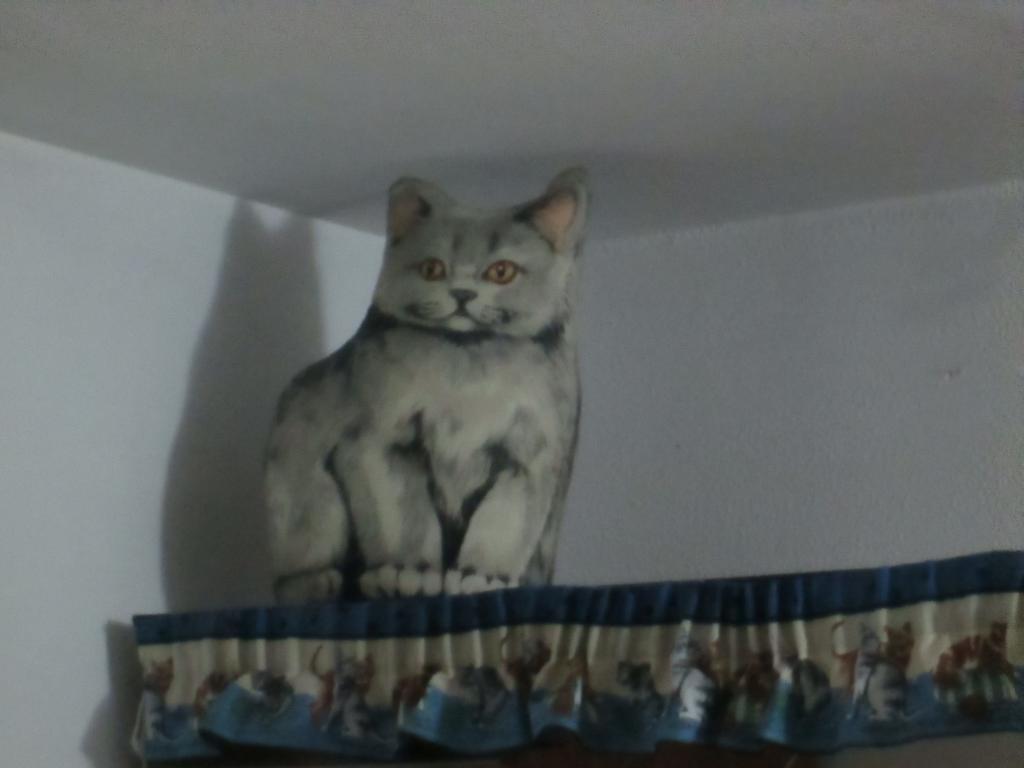 Cat'S House Apartment Lido di Ostia Room photo